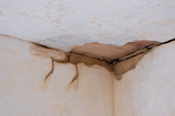 Best Sewage cleanup and water damage restoration  in Pensacola, FL