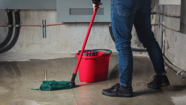 Best Fire Damage Restoration  in Pensacola, FL