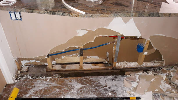 Best Professional water damage repair  in Pensacola, FL