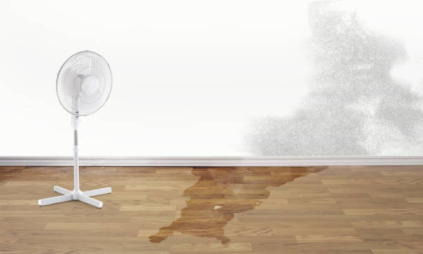 Best Emergency water damage restoration  in Pensacola, FL