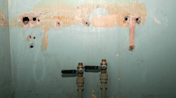 Best 24-hour water damage restoration  in Pensacola, FL