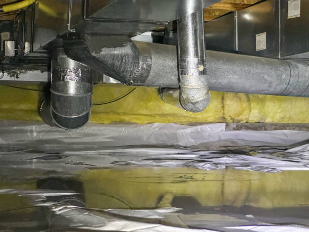 Best Basement water damage restoration  in Pensacola, FL