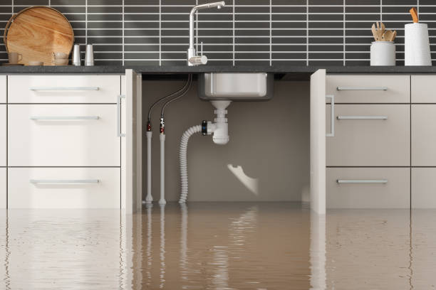 Best Water damage restoration services  in Pensacola, FL